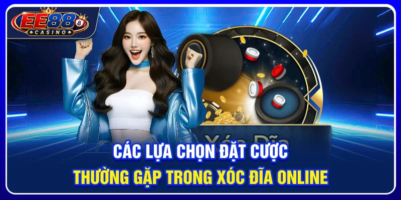 Các lựa chọn đặt cược thường gặp trong xóc đĩa online