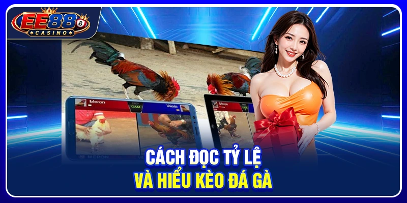 Đá Gà EE88: Tổng Quan Sảnh Đá Gà Và Cách Theo Dõi Kèo 3 Cách đọc tỷ lệ và hiểu kèo đá gà
