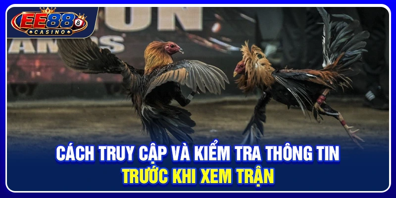 Đá Gà EE88: Tổng Quan Sảnh Đá Gà Và Cách Theo Dõi Kèo 4 Cách truy cập và kiểm tra thông tin trước khi xem trận
